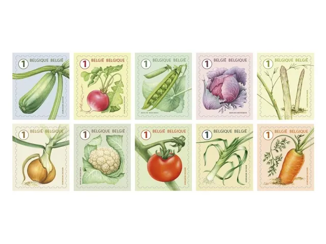 Postzegel Belgie Waarde 1 zelfklevend non-prior 5x10 stuks