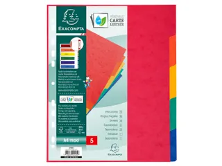 Tabblad glanskarton 225g 5-delig A4 maxi Assorti - 3