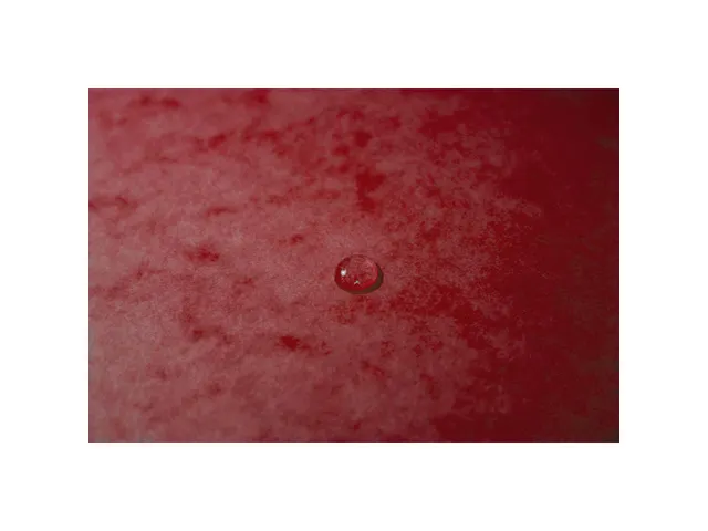 Elastomap met 3 kleppen glanskarton 600gm² - A3-Rood -