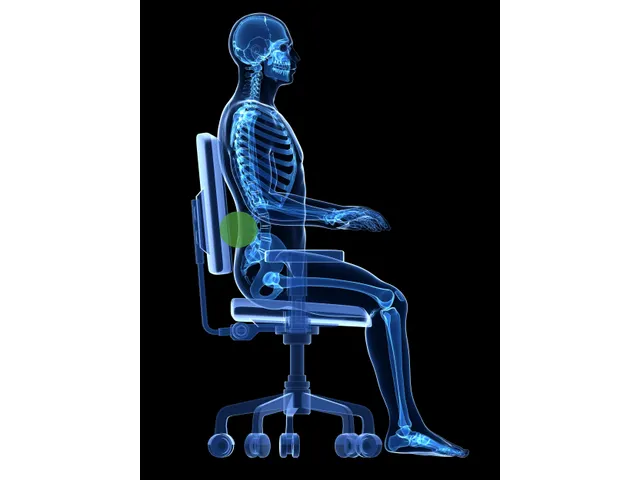 Ergonomische Rugsteun Onderrugkussen Rond 100mm Dik Foam Zwart