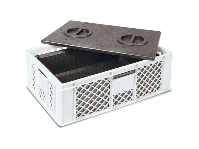 Euronorm-stapelbak,m. isoleerbox,HxLxB 240x600x400mm,20l,PE,wit