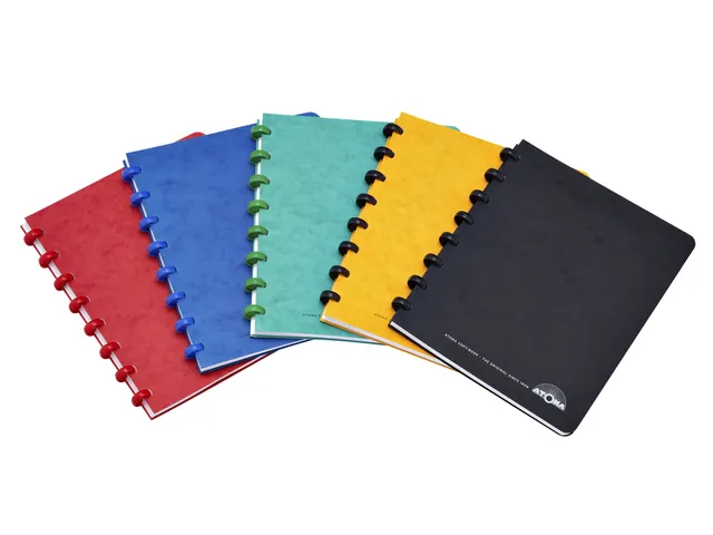 Schrift Atoma A5 ruit 5x5mm 144blz 90gr karton assorti