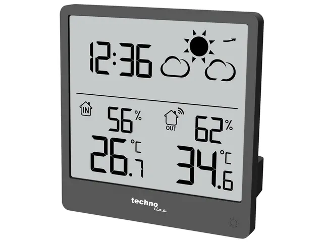 Weerstation Technoline WS 9138 90x93x45 mm zwart met 1 buitensensor