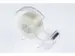 Plakbandhouder Kangaro kern 25 mm transparant met tape 19mmx33m