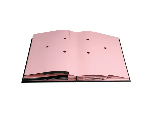 Handtekenmap DIRECTIE 12 Ind. zwart