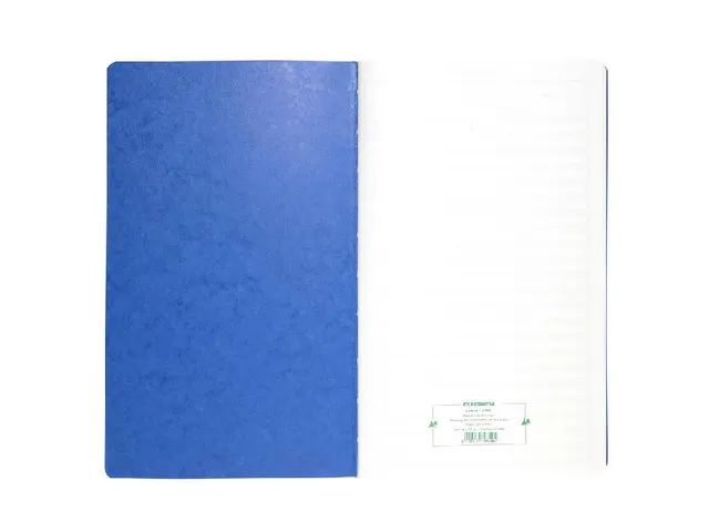 Piqûre 40x24cm - Pointage 46 lignes 80 pages - Couleurs assorties