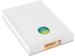 Evercolor papier A3 80g 500 vel zalm