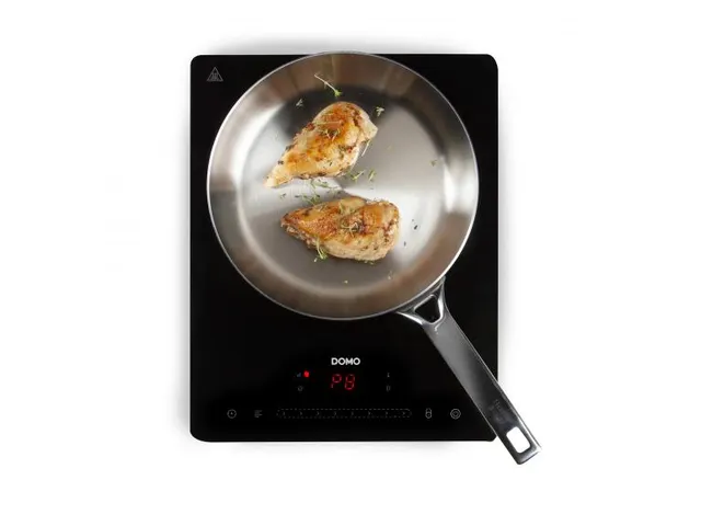 Plaque à induction 1 feu 2000W noir