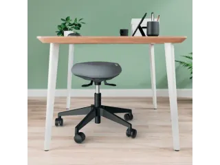 Zitkruk Leitz Ergo met wieltjes en wiebelkussen 600x470x600mm zwart - 8