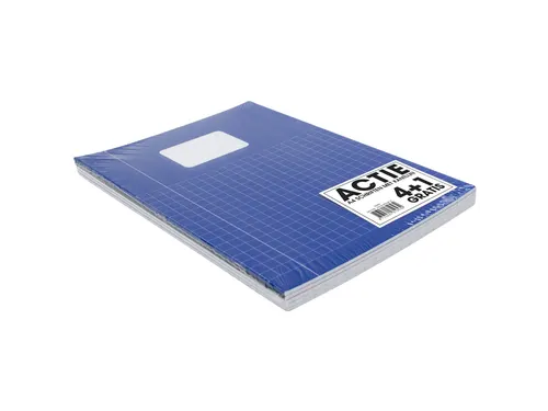 Schrift SOHO Basic A4 ruit 10x10mm 80 pagina's 60gr pak à 5 stuks
