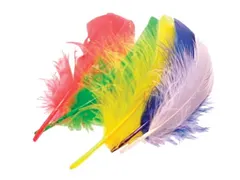 Pluimen 15 Cm, 50 Stuks