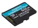 Carte microSDXC Canvas Go Plus Gen4 200 Mo/s A2 U3 V30 512 Go + adapta