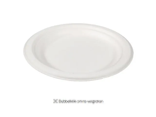 Bord Rond 1-vaks Bagasse 18cm Wit doos 500st