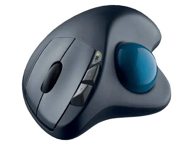 Souris Logitech Trackball M570 anthracite