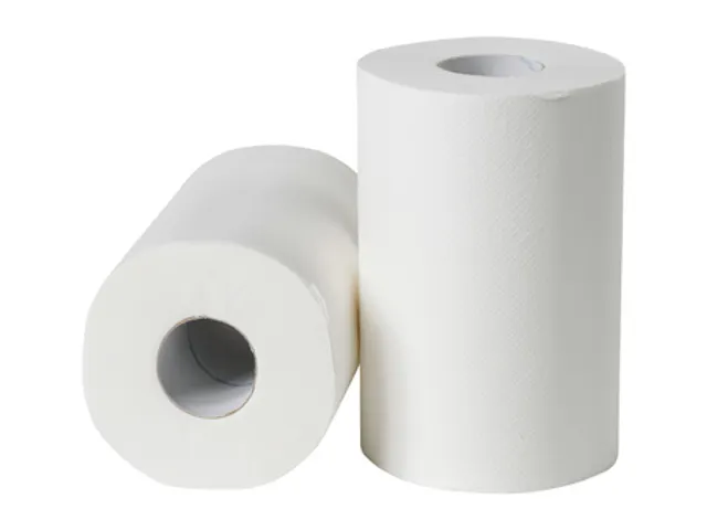 Poetsrol mini cellulose 2-laags 19 cm 12 x 72 meter in folie FSC
