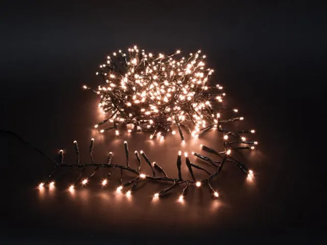 Twistlight LED - 6m - 510 Arizona Witte Lampen - Zwart Draad - 31V