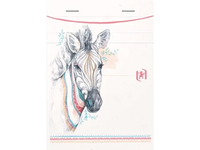 Boho Spirit carnet de notes, ft A6, 160 pages, ligné, couleurs assort