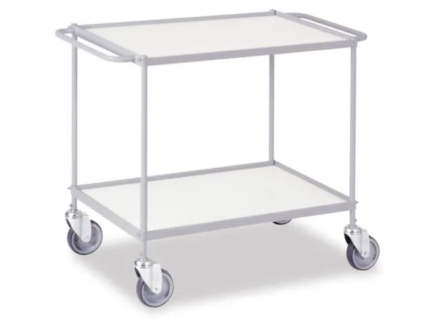 Universele Wagen 150kg 785x500mm 2 Etages Met Beugel Zilvergrijs