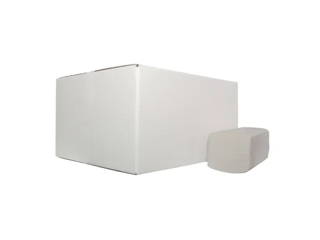 Handdoekpapier Z-vouw RW 2lgs 22x22 5cm Wit doos 20x200st