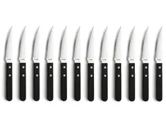 Couteau Amefa 7000 Steak 21cm Plastique/Inox 12 pièces