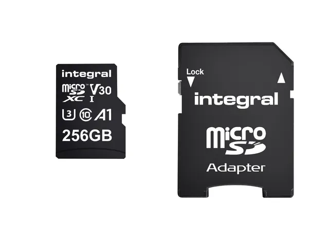Geheugenkaart Integral microSDXC 256GB