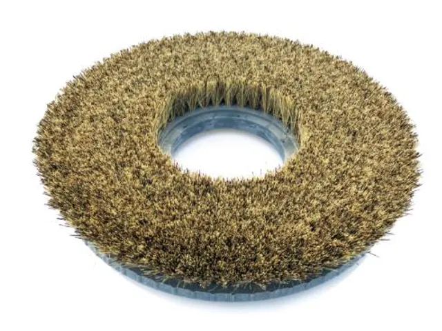 Borstel 20 inch union mix