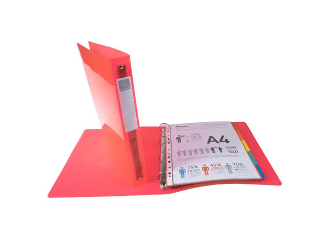 Ringmap PP IDERAMA A4+ 4R 30mm roze