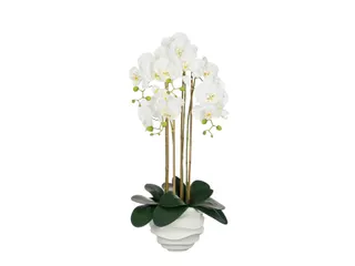 Kunstplant Mica Phalaenopsis in pot wit 40x34x82cm - 2
