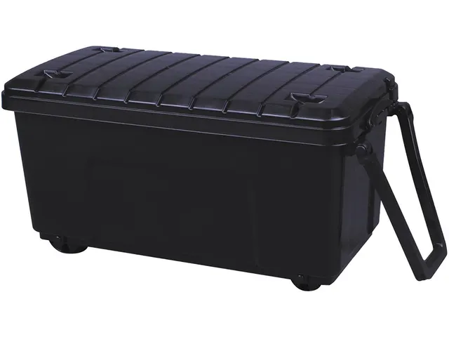 Opbergkoffer Op Wieltjes 64 Liter Zwart