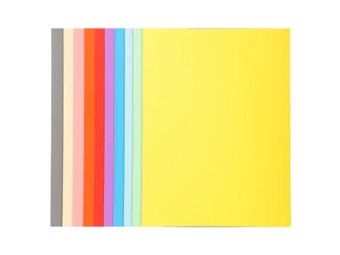 Pak van 100 dossiermappen FOREVER 250 100% Gerecycleerd Assorti