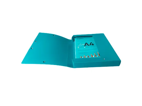 Klasseerdoos FOREVER PP rug 40mm ass.