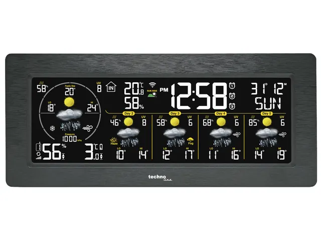 Station météo Technoline WD 3050 232x100x42mm noir avec 1 capteur ex