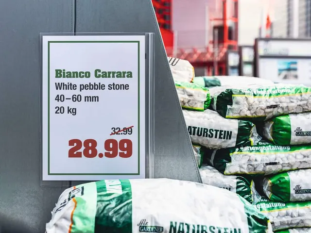 Waterbestendige Hoes A3 Magnetisch Transparant