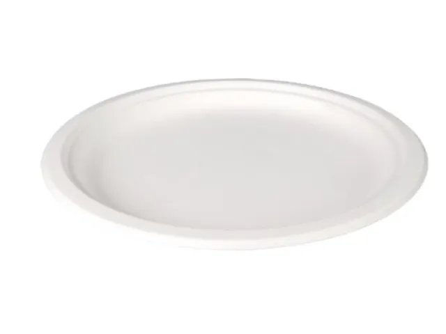 Bord Rond 1-vaks Bagasse 26cm Wit doos 500st