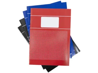 Schrift SOHO Basic A4 ruit 5x5mm 80 pagina's 60gr assorti 5 stuks - 1