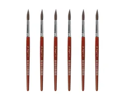 Penseel Kangaro Serie 120 rond Nr. 16 geitenhaar doos 6 stuks