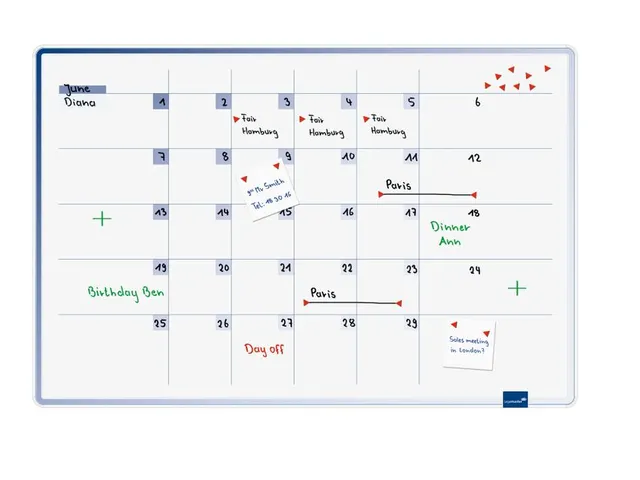 Accents Linear Maandplanner Cool 60x90 cm