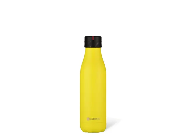 Thermosfles Les Artistes Paris 500ml Yellow