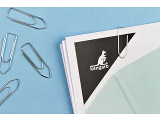 Paperclip Kangaro 32mm hoekig verzinkt doos à 100 stuks - 5