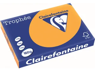 Trophée Pastel gekleurd papier A3 160 gram 250vel Oranje - 2