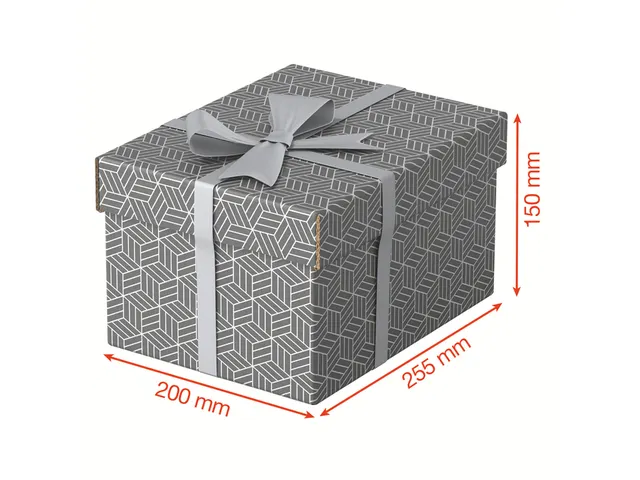 Esselte Home kleine opberg- en geschenkdoos karton grijs 3 stuks