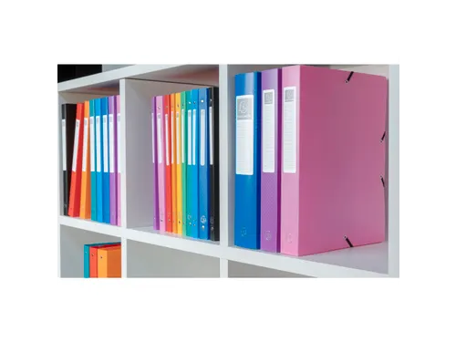 Klasseerdoos PP rug 25mm A4 roze