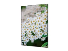 Wanddecoratie Textiel Set A1 Witte Bloem Spirea