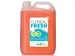 Ecover Ecopro Floral Fresh Allesreiniger 5 Liter