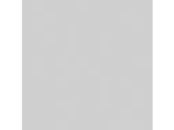 caddy,HxBxD 1030x550x470mm,2niveaus,1kasten,MP-lichtgrijs