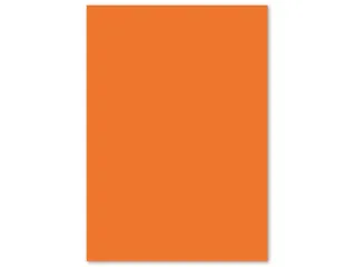 papier Kangaro A4 160 gram pak a 50 vel oranje - 5