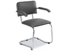 Bezoekersstoel,Vrijzwaaiend Ronde Buis Verchroomd,M. Armleuningen