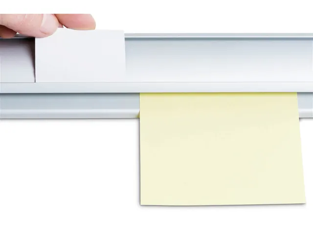 Rail pince mural MAULblafix Aluminium 50,6cm