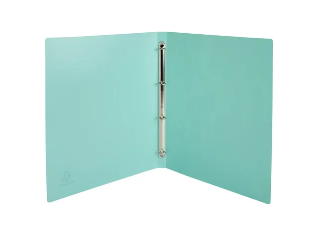 Ringmap 4r 15mm PP A 4 Maïa geassorteerd