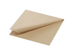 Servet 24x24cm 1/4 vouw 2laags Eco bruin doos 8x300st